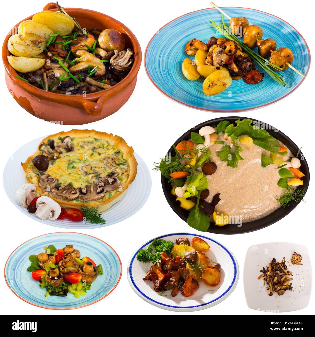 Delicious different dish with mushrooms cooked at clay pots and plates