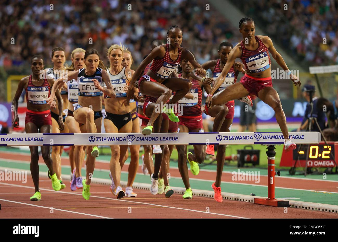 Illustration picture shows the women's 3000m steeple, at the 2022