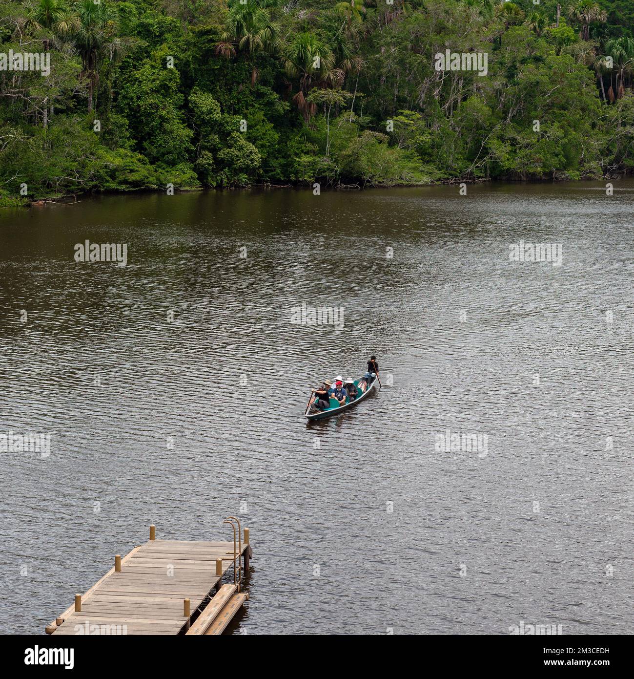 Arrival of a tourist group by canoe in hotel lodge in the Amazon rainforest, Yasuni national park, Ecuador. Stock Photo