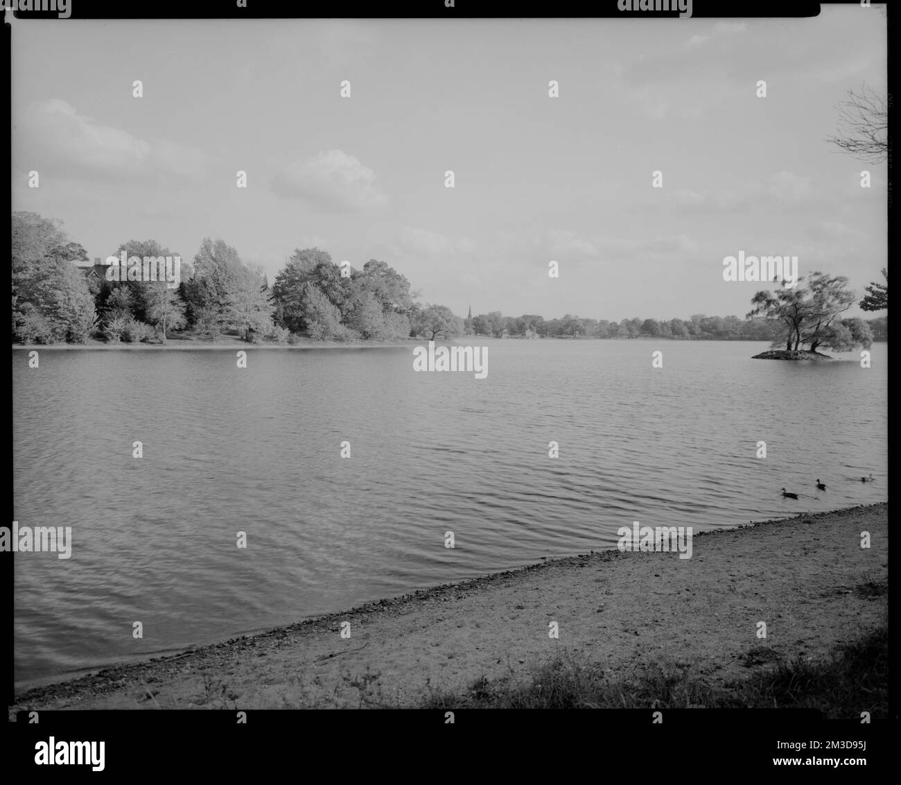 Jamaica pond Black and White Stock Photos & Images - Alamy