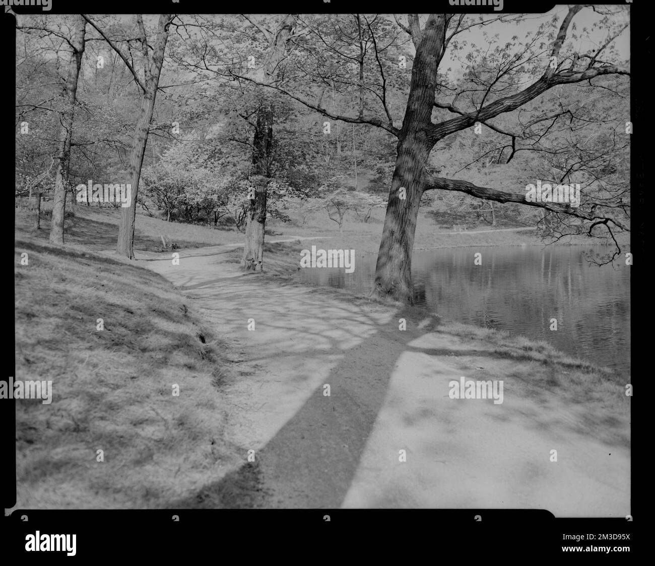 Freshwater ponds Black and White Stock Photos & Images - Alamy