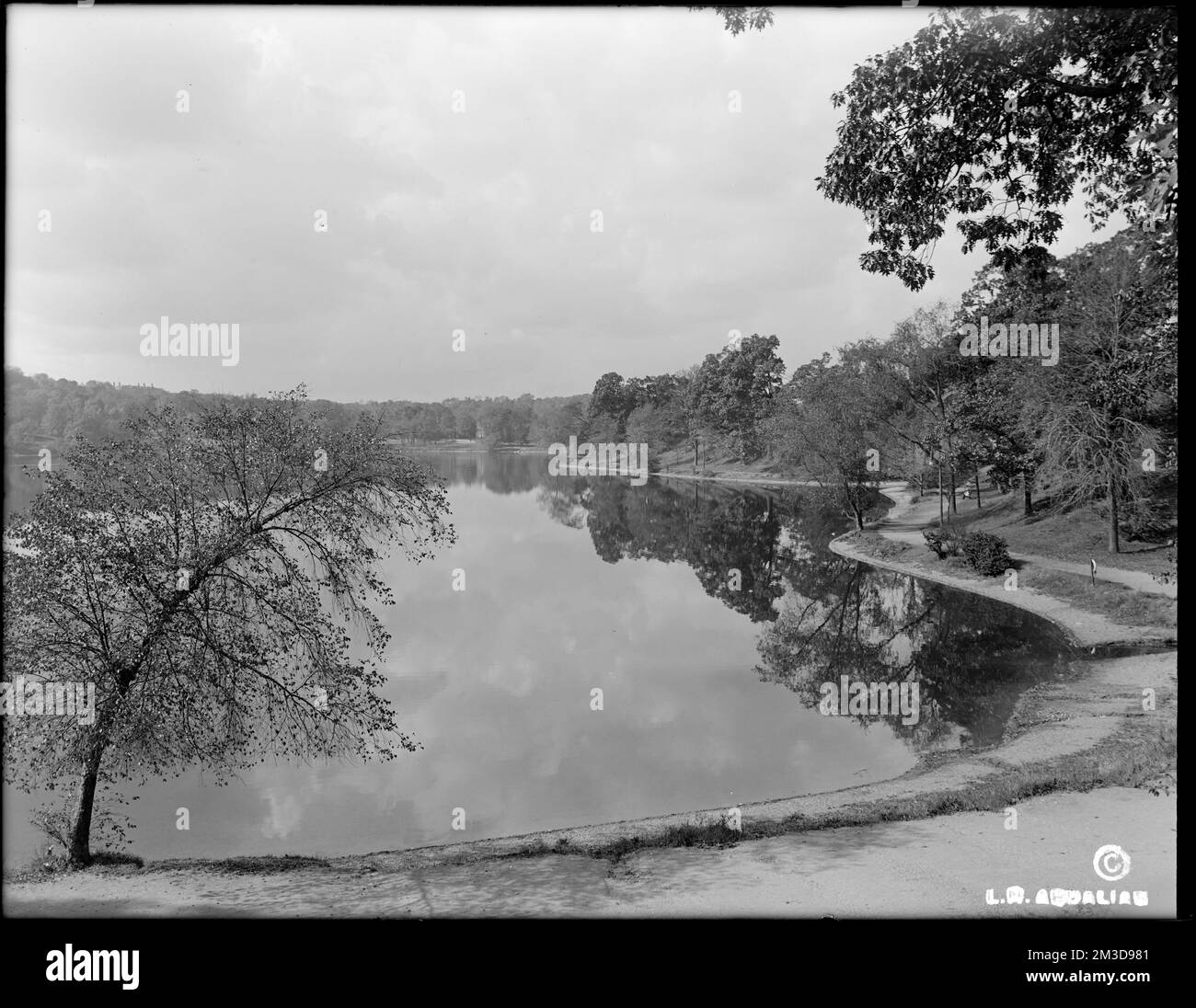 Jamaica Pond, Lockstead Avenue side , Lakes & ponds. Leon Abdalian