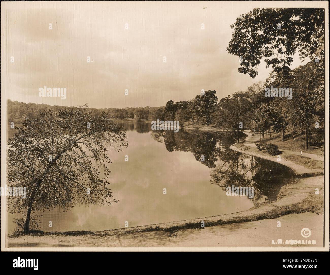 Jamaica Pond, Lockstead Avenue side , Lakes & ponds. Leon Abdalian