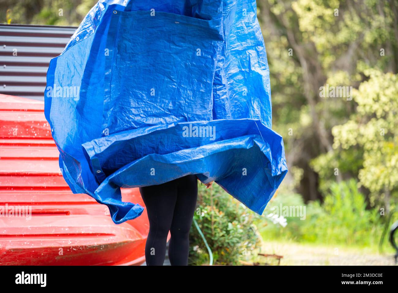 woman folding up a tarp at a campground in australia. camping tant and tarp while caravaning and