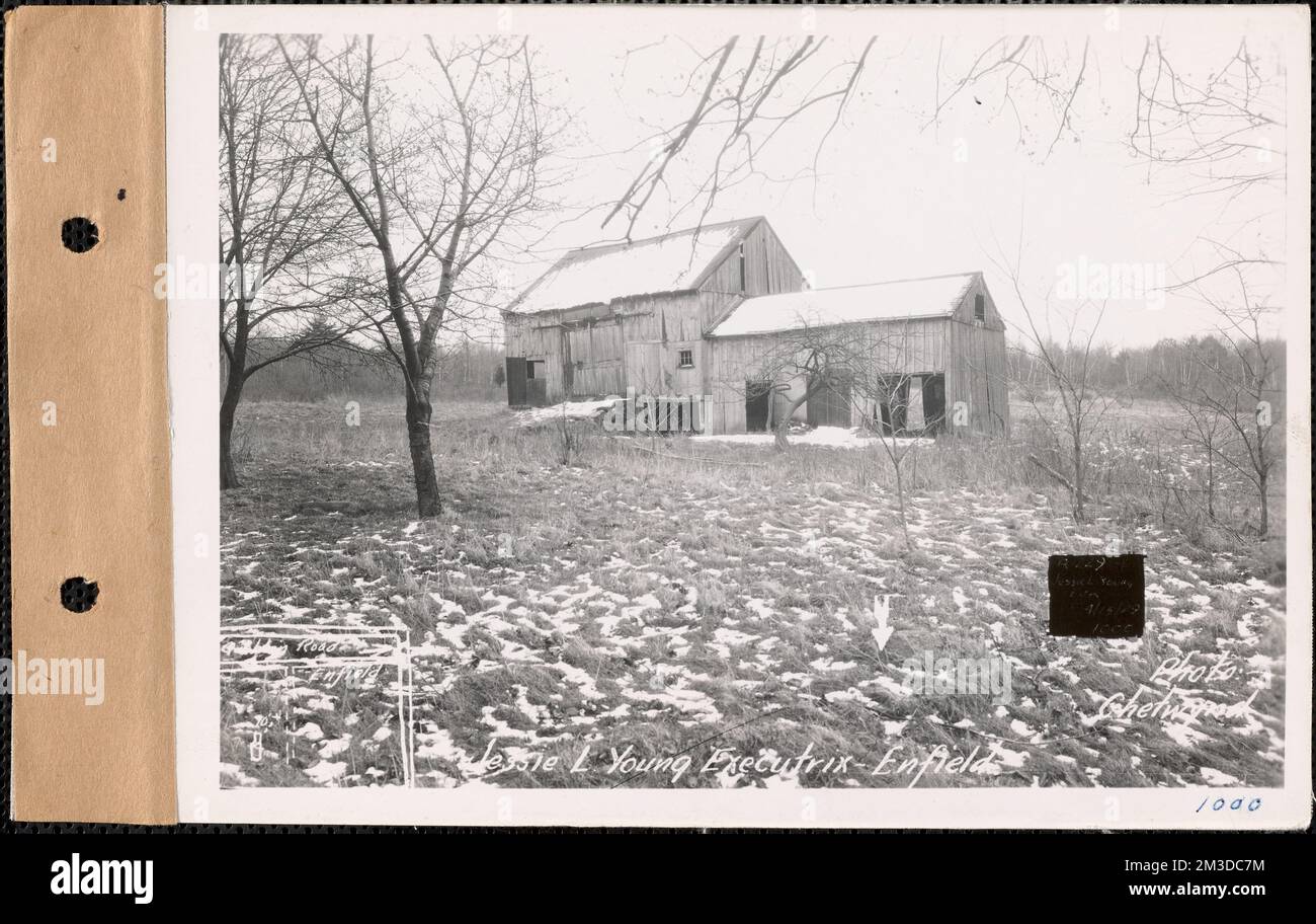 Jessie L. Young Executrix, Barn, Enfield, Mass., Apr. 15, 1929 : Parcel ...