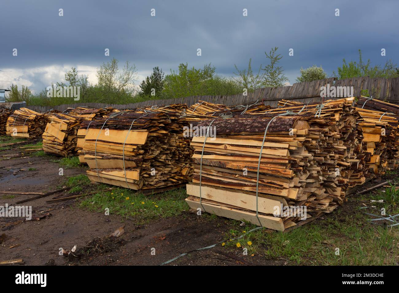 Texture. Woodworking waste. Heaps of chips, bark, pieces and sawdust Stock Photo Alamy