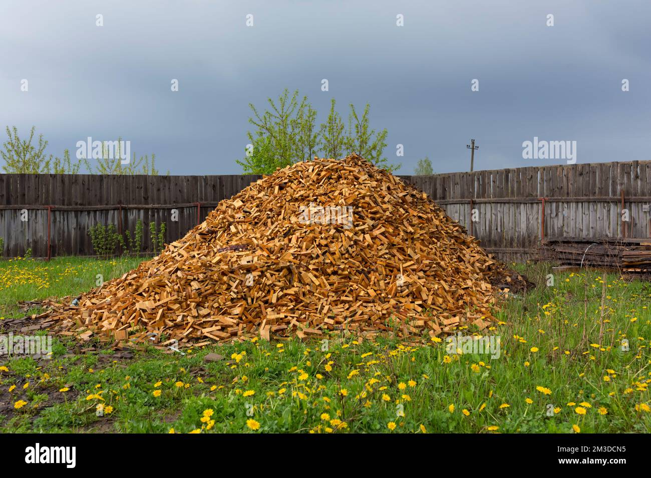 Texture. Woodworking waste. Heaps of chips, bark, pieces and sawdust Stock Photo Alamy
