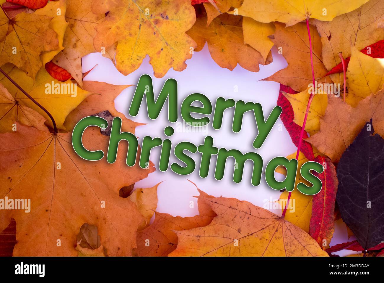 Autumn leaves, objects with Merry Christmas text. Natural patterns, color design. Stock Photo