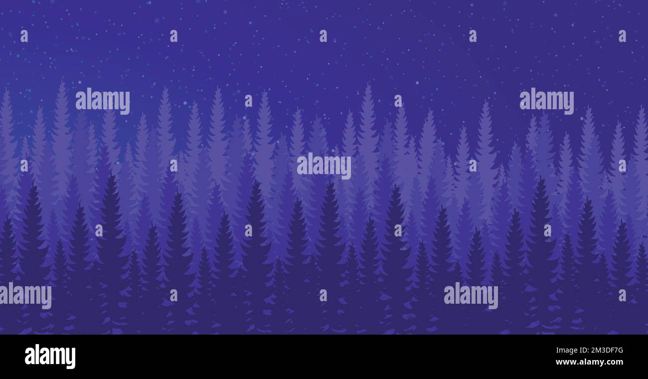Panorama of dense night forest, fir and pine trees of natural green ...