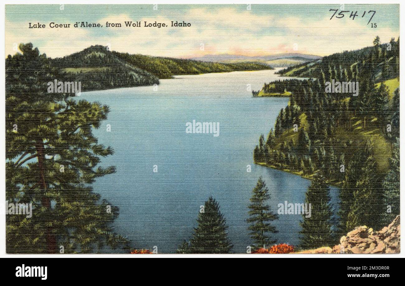 Lake Coeur d'Alene, from Wolf Lodge, Idaho , Lakes & ponds, Tichnor