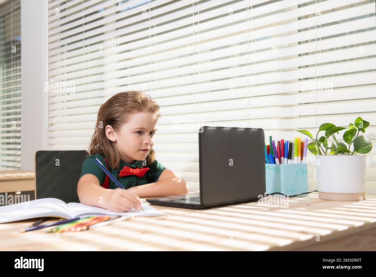 Serious school boy concentrated on drawing when sitting in class with ...