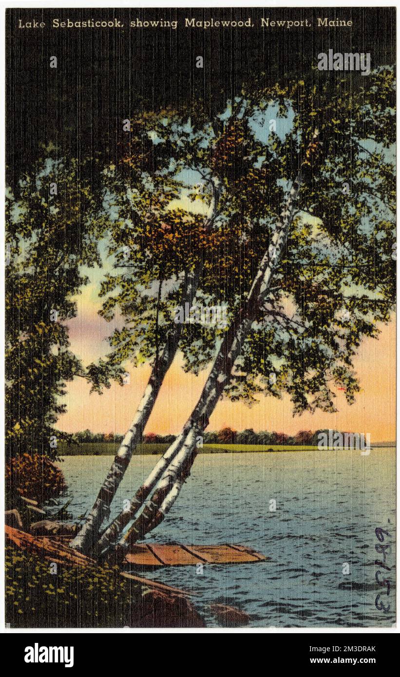 Lake Sebasticook, showing Maplewood, Newport, Maine , Lakes & ponds