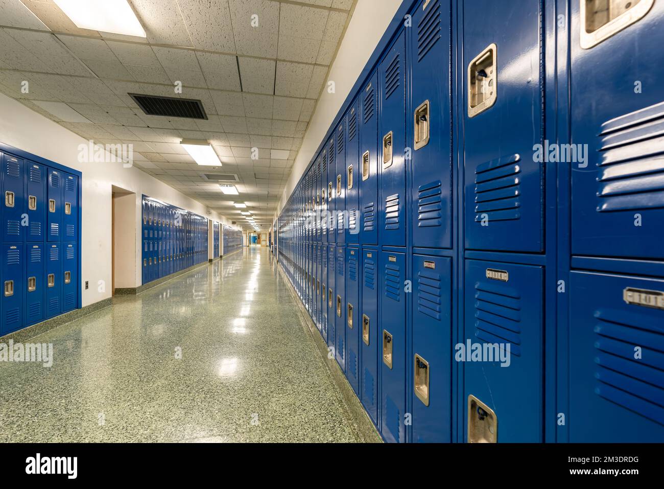 Typical, nondescript USA empty school hallway with blue metal lockers