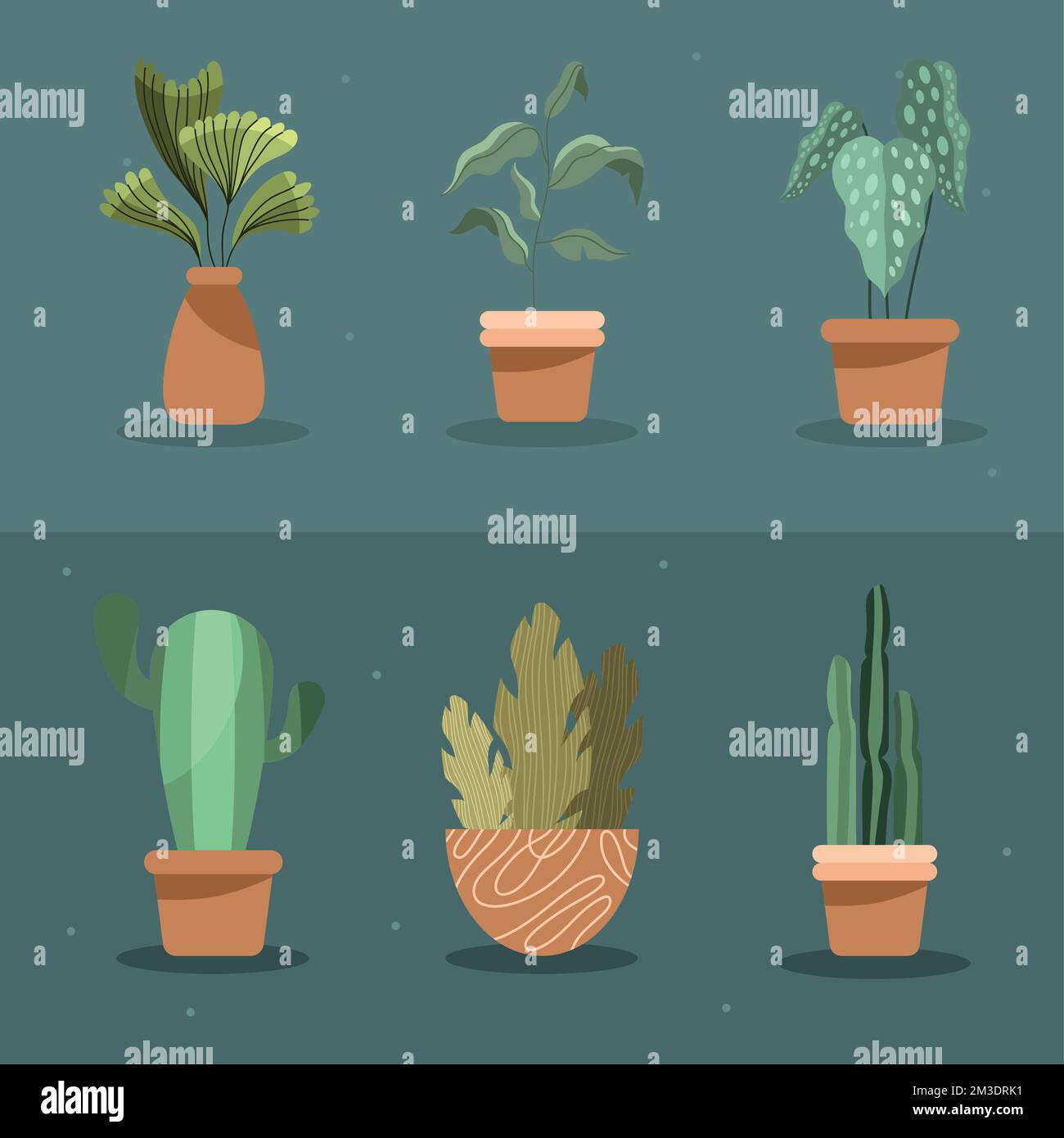 six houseplants in pots icons Stock Vector Image & Art - Alamy