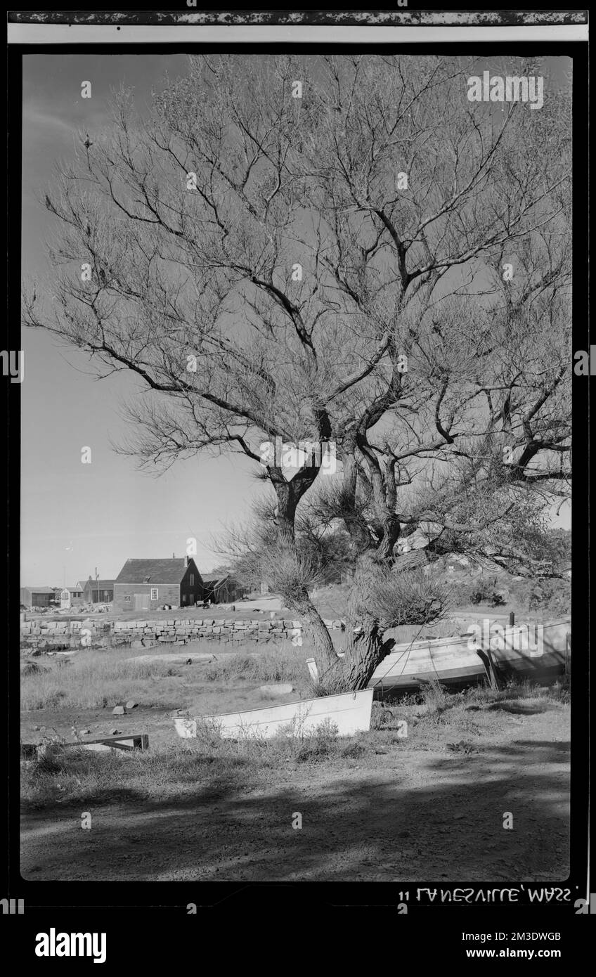 Lanesville, tree and boat , Boats, Trees. Samuel Chamberlain Photograph ...