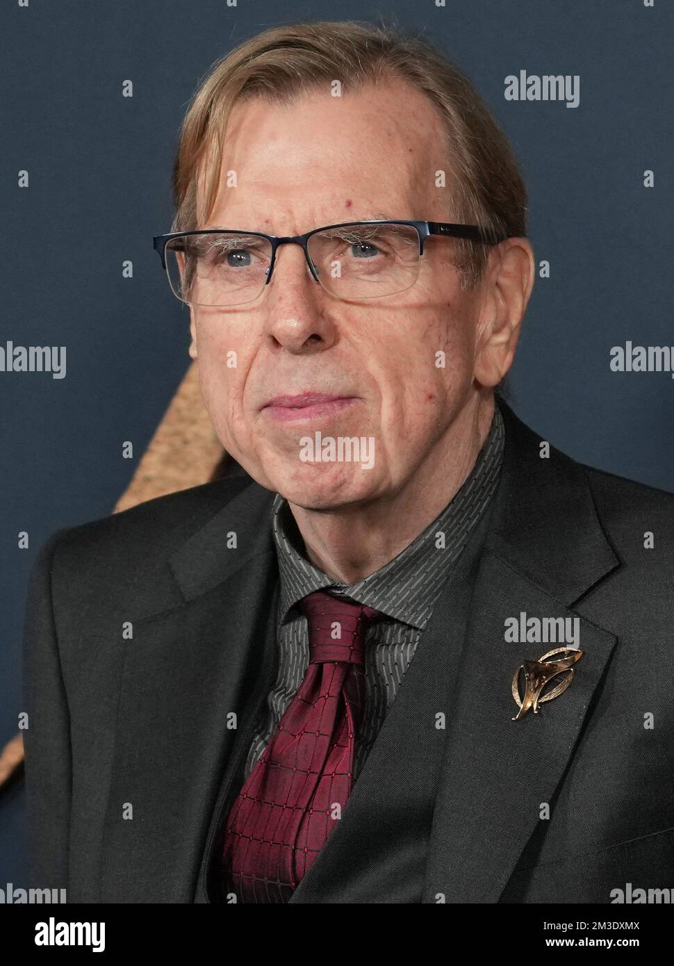 Timothy Spall arrives at THE PALE BLUE EYE Los Angeles Premiere held at ...