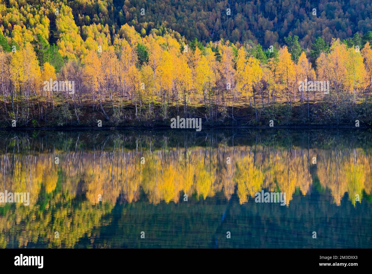 Taken M lselvveien Andslimoen M lselv Norway M lselvveien taken-m-lselvveien-andslimoen-m-lselv-norway-m-lselvveien
