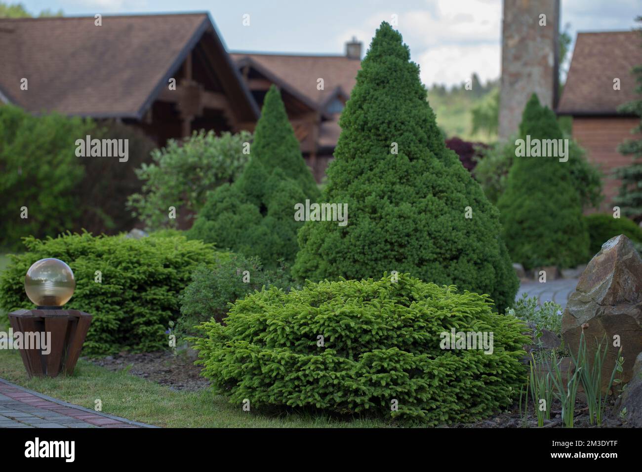 Modern unique landscape design. A group of decorative coniferous trees (Picea abies Nidiformis, Picea glauca Conica) and bushes against the background Stock Photo