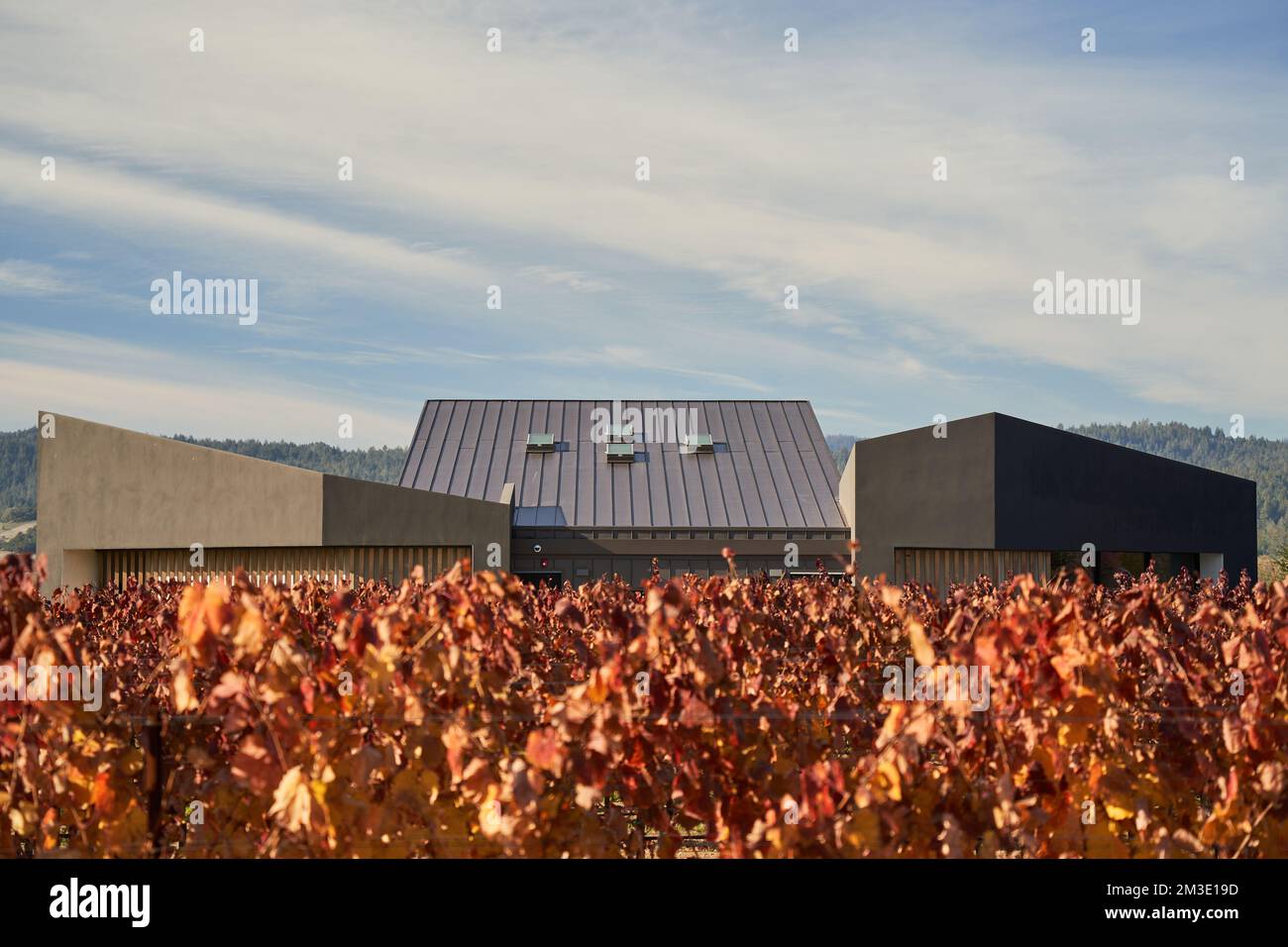 Aperture Cellars winery building and vineyard in autumn in rural Healdsburg, California. Stock Photo