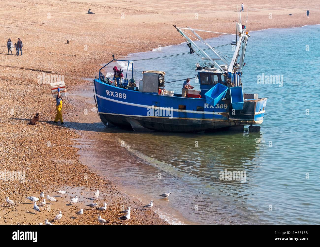 Fisherman cleaning fish on trawler, landing and unloading the catch, on the Stade, Fishermen's beach Hastings, UK Stock Photo