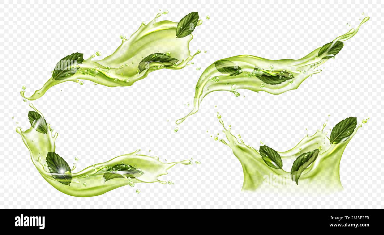 Splash of green tea with mint, matcha isolated on transparent