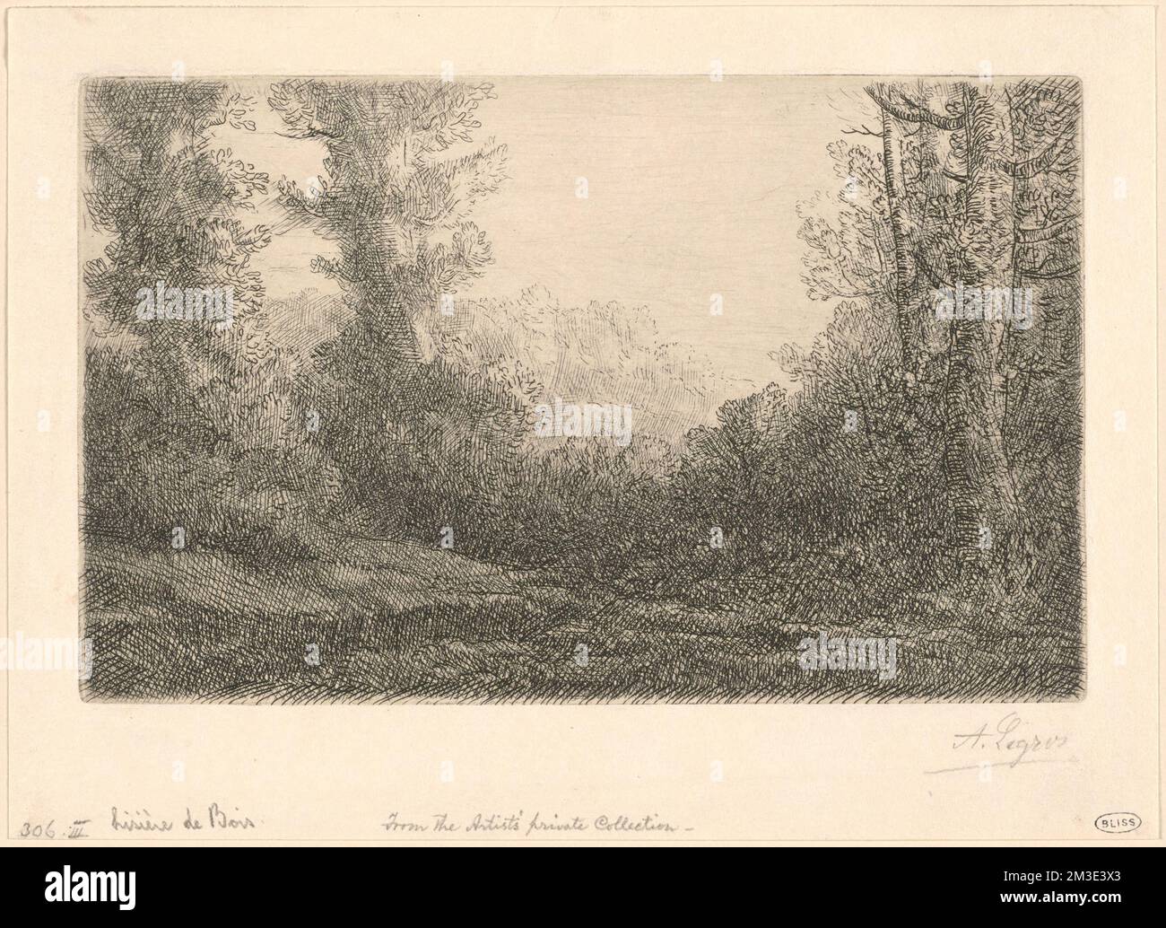 Lisière de bois , Forests, Alphonse Legros (1837-1911 Stock Photo - Alamy