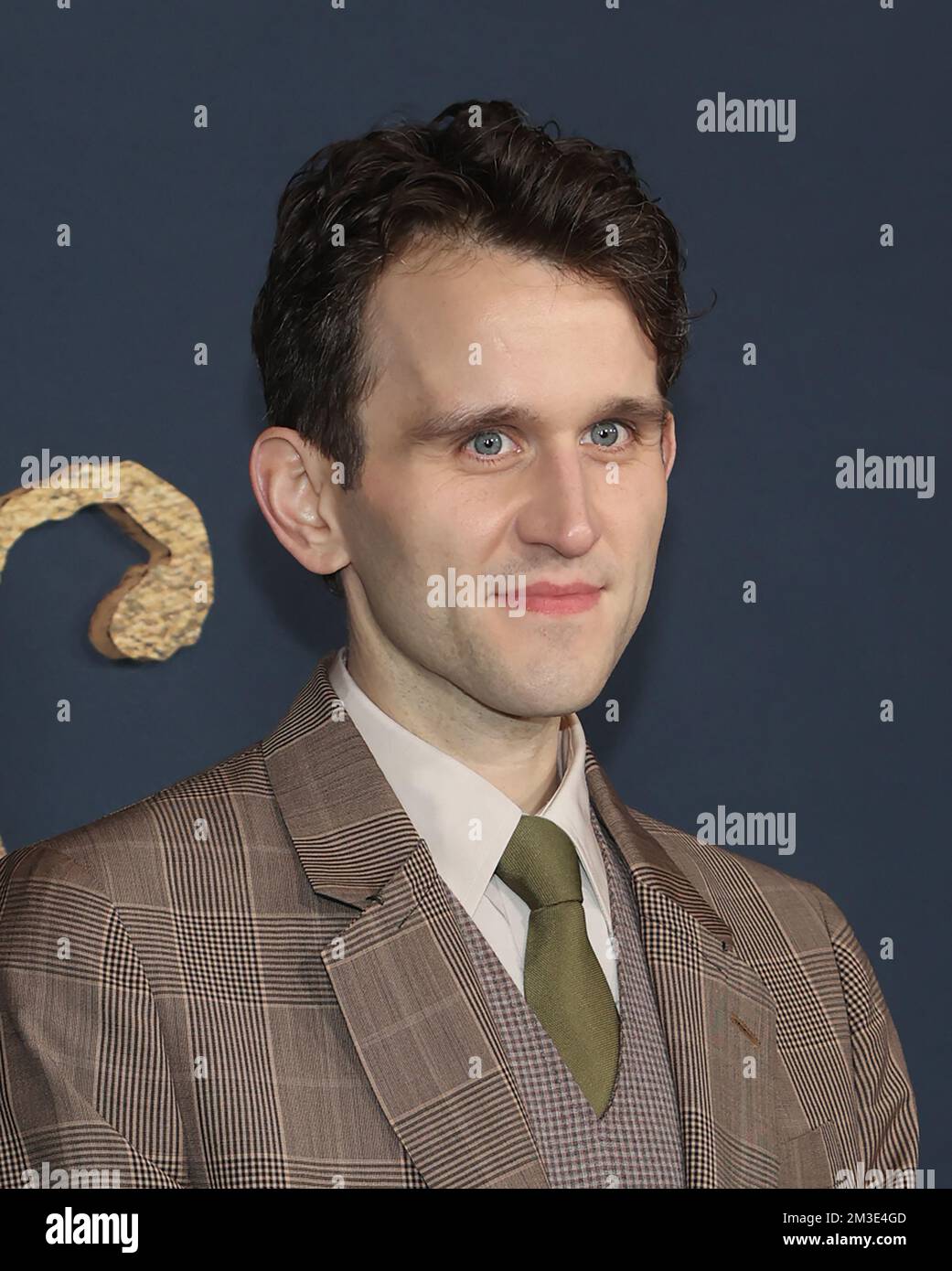 Harry Melling, at "The Pale Blue Eye" Los Angeles Premiere at The DGA
