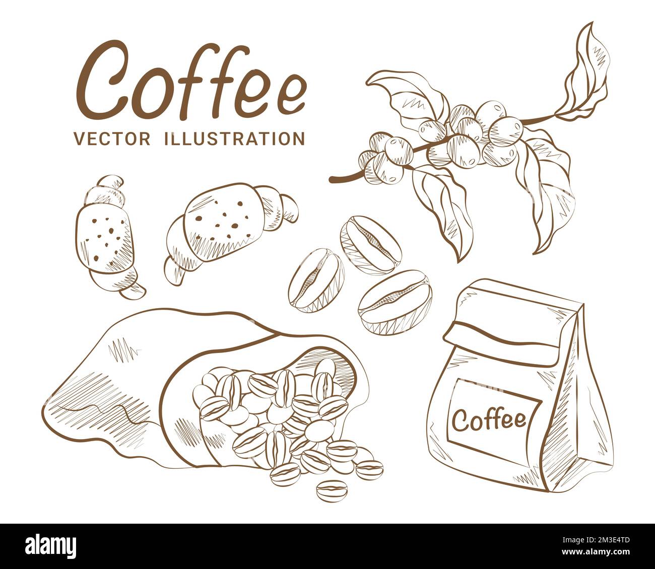 Coffee sketch set hand drawing vector coffee branches bag with coffee