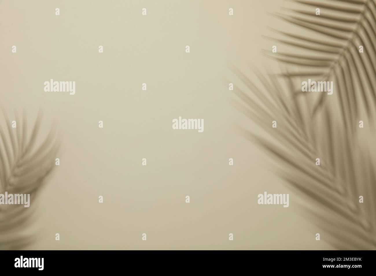 simple, minimal and desaturated background with leaves of palm trees ...