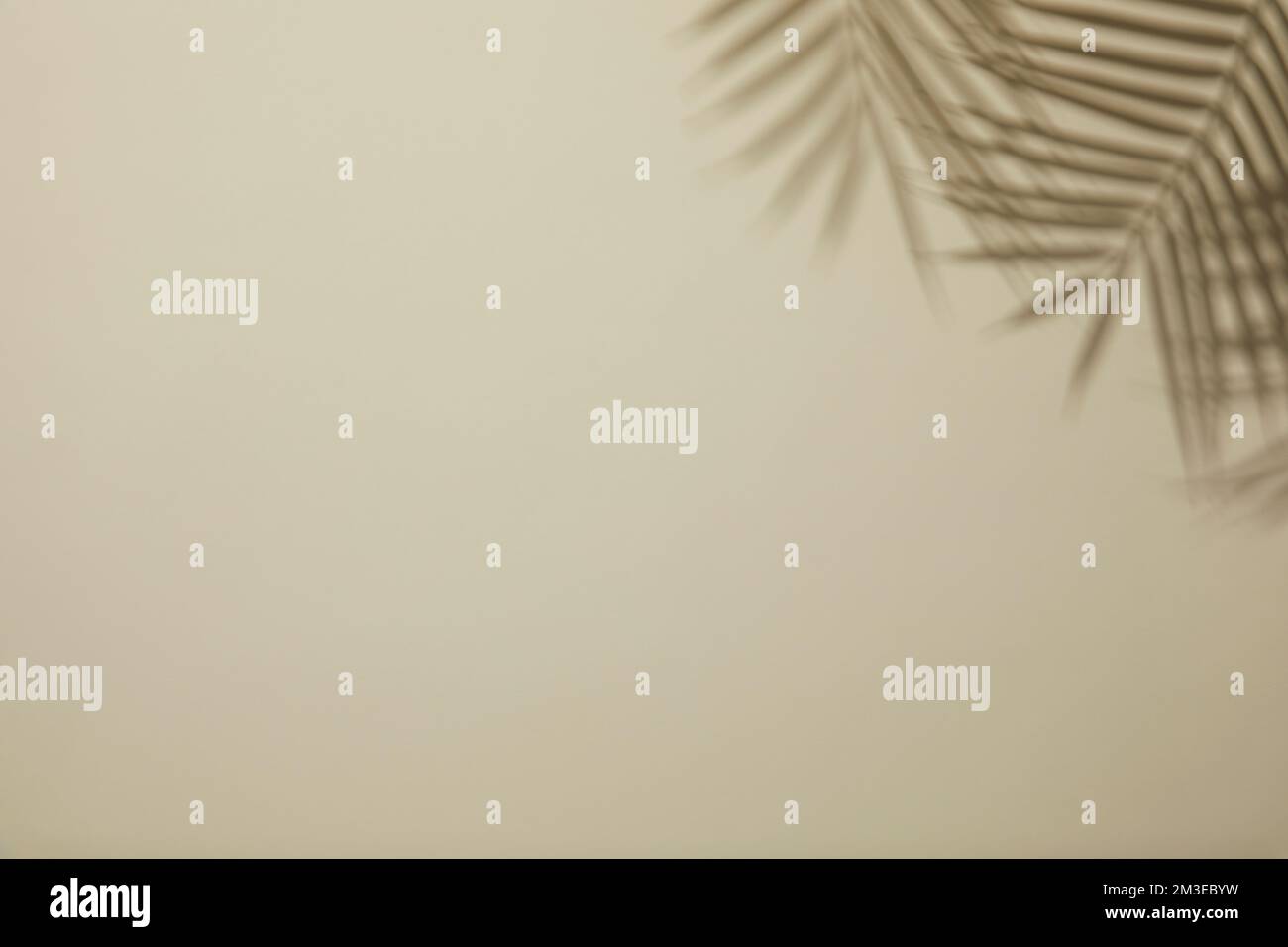 simple, minimal and desaturated background with leaves of palm trees ...