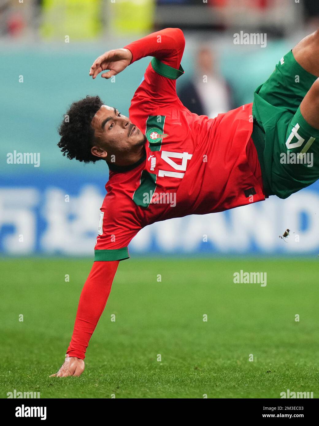 Zakaria Aboukhlal of Morocco during the FIFA World Cup Qatar 2022 match, Semi-final between Frtance and Morocco played at Al Bayt Stadium on Dec 14, 2022 in Al Khor Qatar