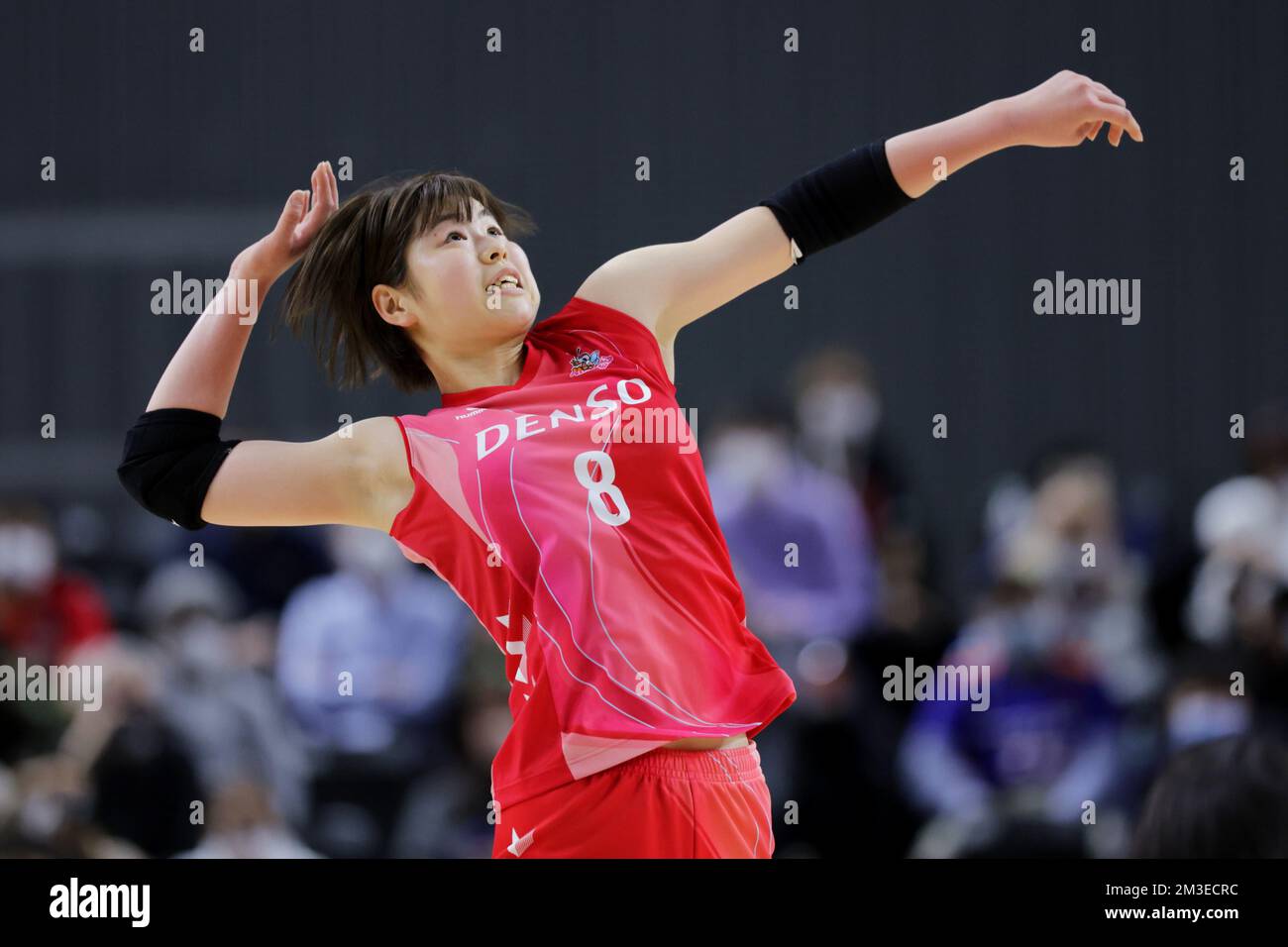 Musashino Forest Sport Plaza, Tokyo, Japan. 11th Dec, 2022. Yoshino