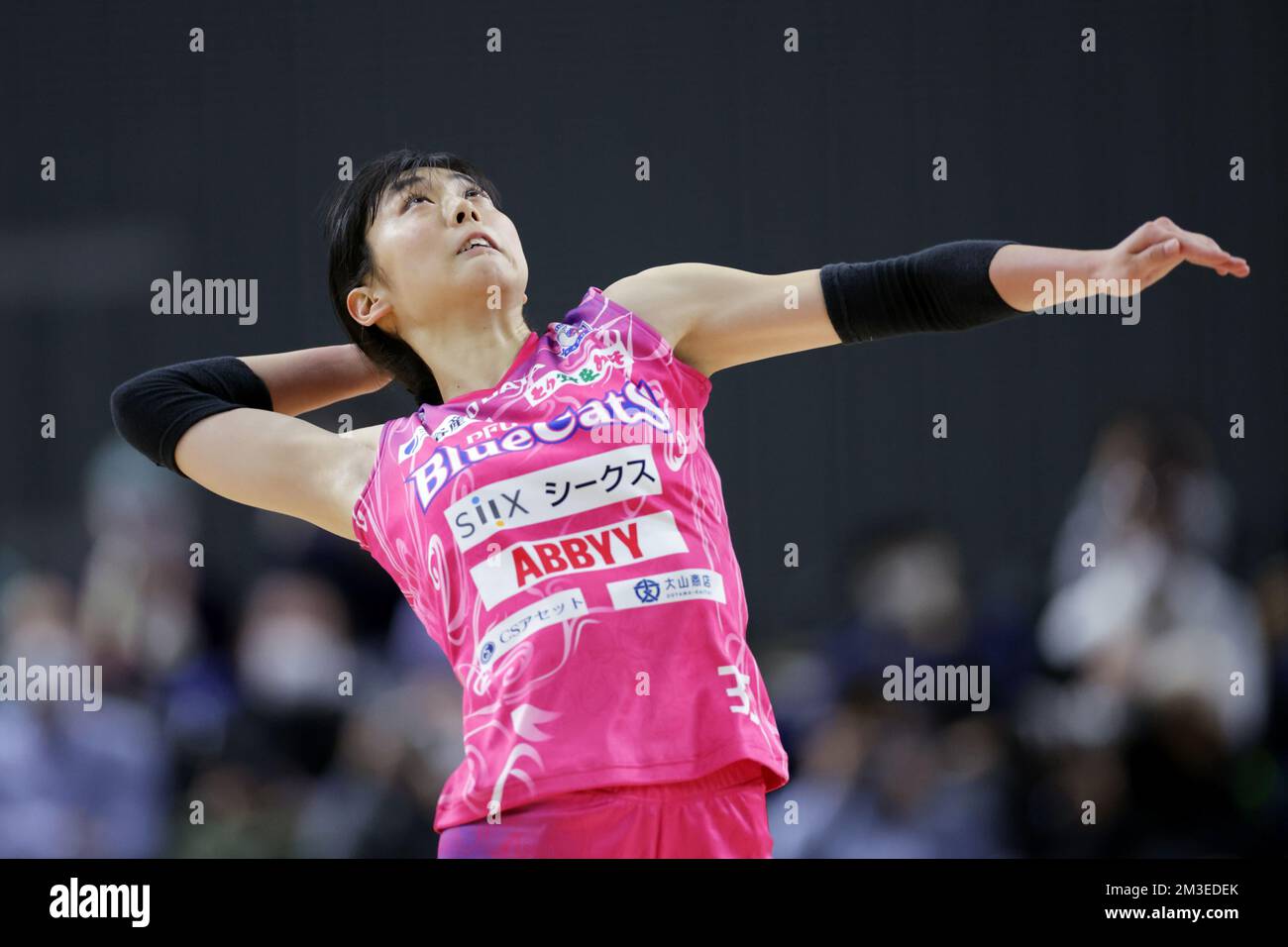 Musashino Forest Sport Plaza, Tokyo, Japan. 11th Dec, 2022. Mikoto