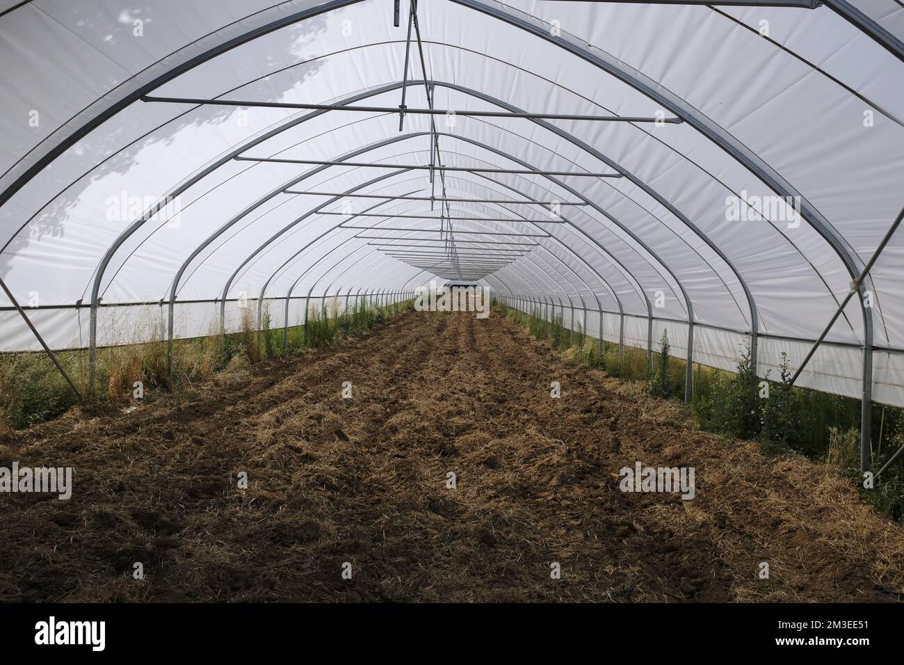 Large greenhouse in a field Stock Photo
