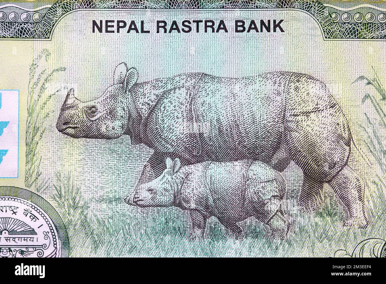 One-horned rhinoceros and its offspring from Nepalese rupee Stock Photo