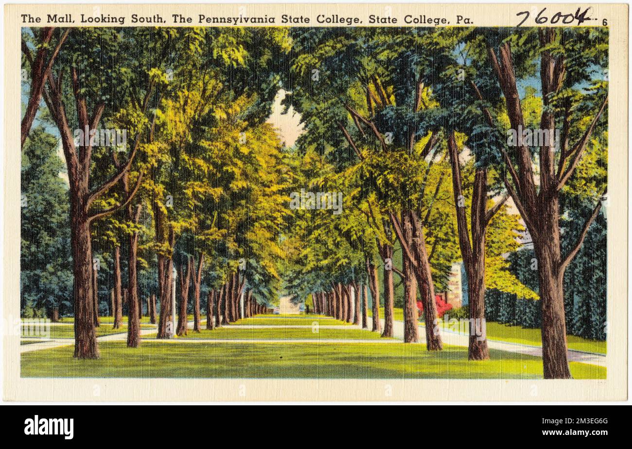 The Mall, looking south, The Pennsylvania State College, State College, Pa. , Universities & colleges, Tichnor Brothers Collection, postcards of the United States Stock Photo