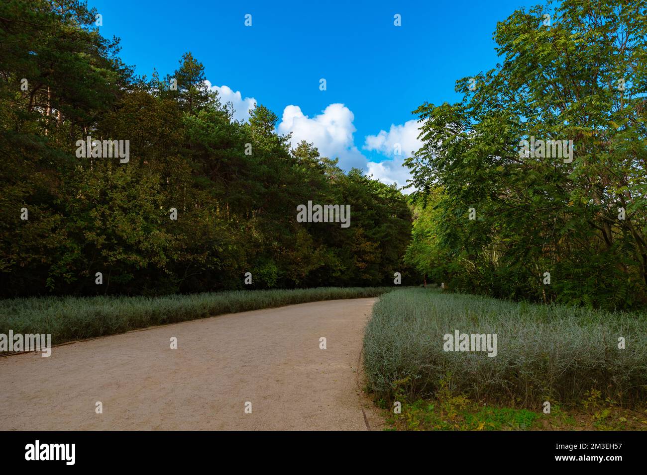 Jogging or hiking trail. City forest background photo. Ataturk City Forest in Sariyer Istanbul. Stock Photo