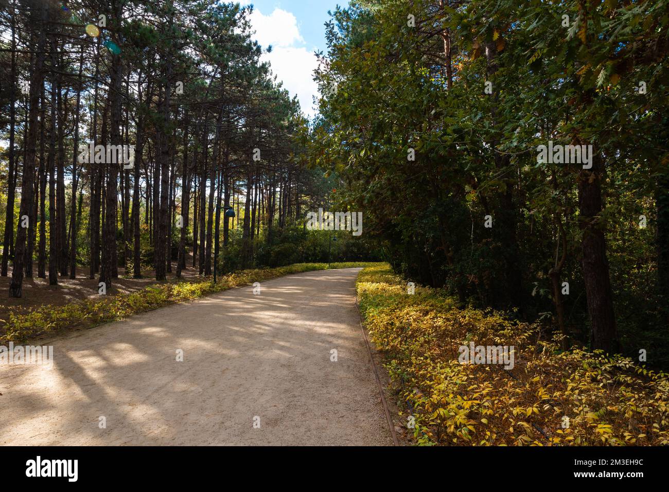 Jogging trail in Ataturk City Forest in Istanbul. Healthy lifestyle background photo. Stock Photo