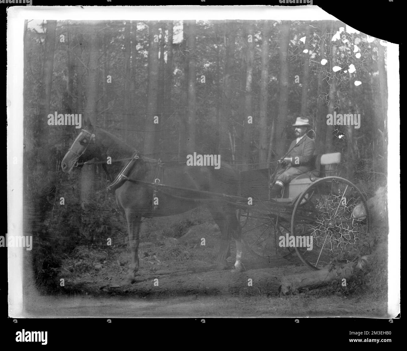 Man in one horse shay in woods , Vehicles. Hingham Public Library Glass