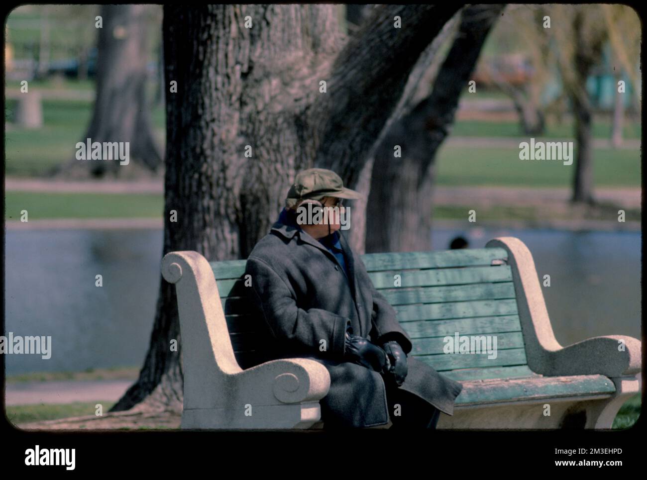 Man sitting on bench, Public Garden, Boston , Parks, Benches. Edmund L