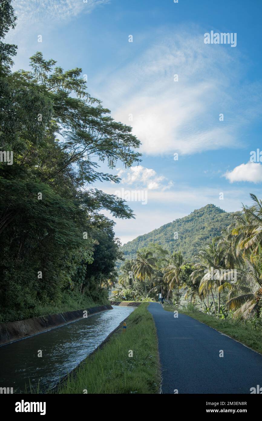A vertical of a road near a flowing river, palm trees around,cloudy sky