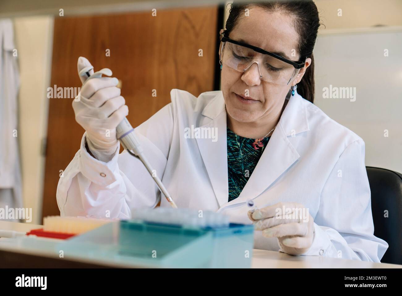 Scientist pipetting samples into eppendorf tubes Stock Photo