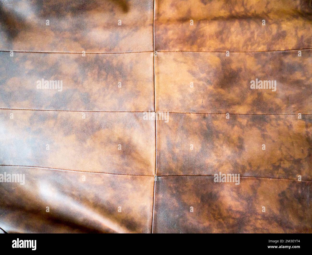 Women's leather jacket Stock Photo - Alamy