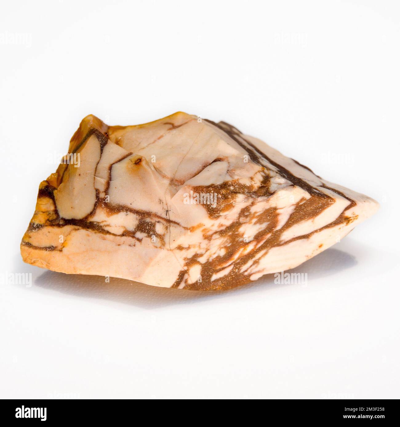 Macro close up colour photograph of a natural " Brown Zebra Jasper" a