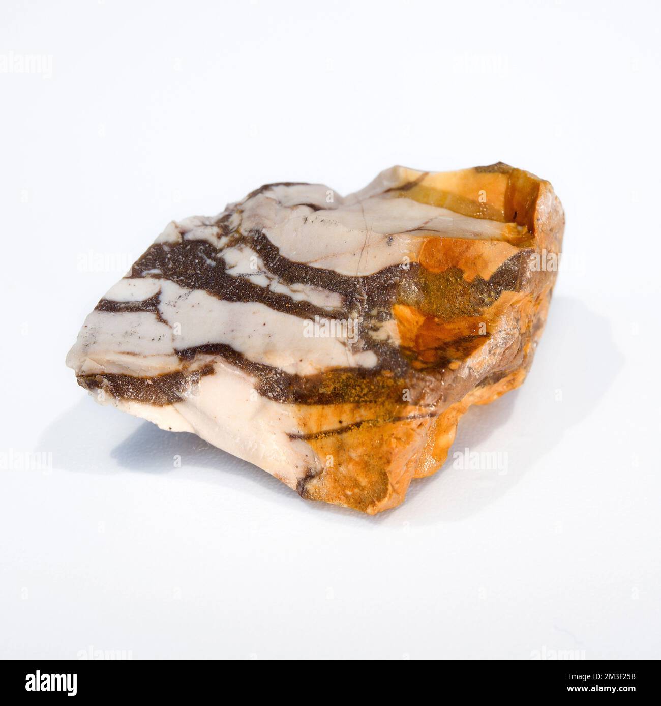 Macro close up colour photograph of a natural " Brown Zebra Jasper" a