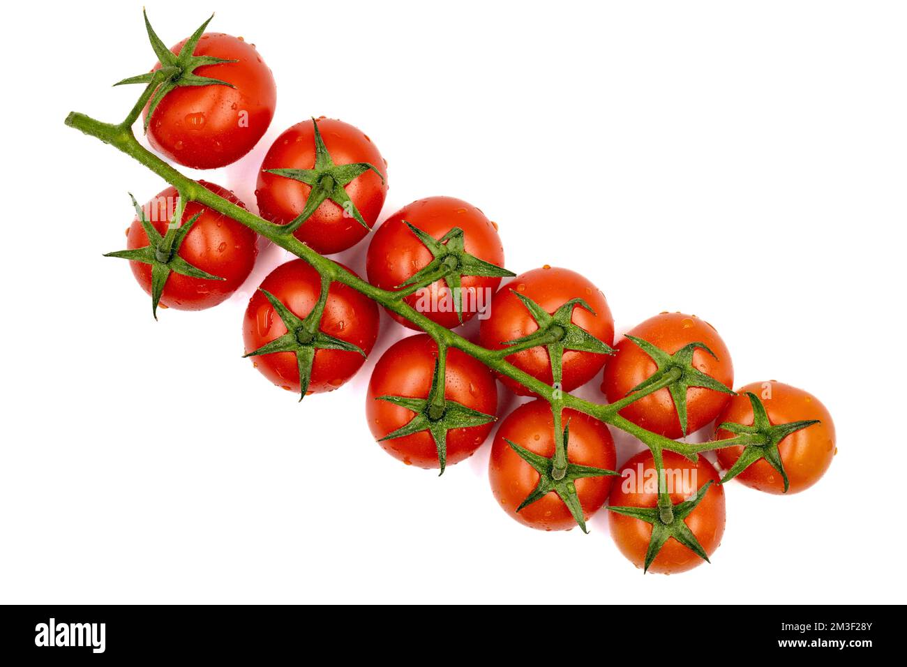 Tomato isolated on white background. Clipping Path. Full depth of field