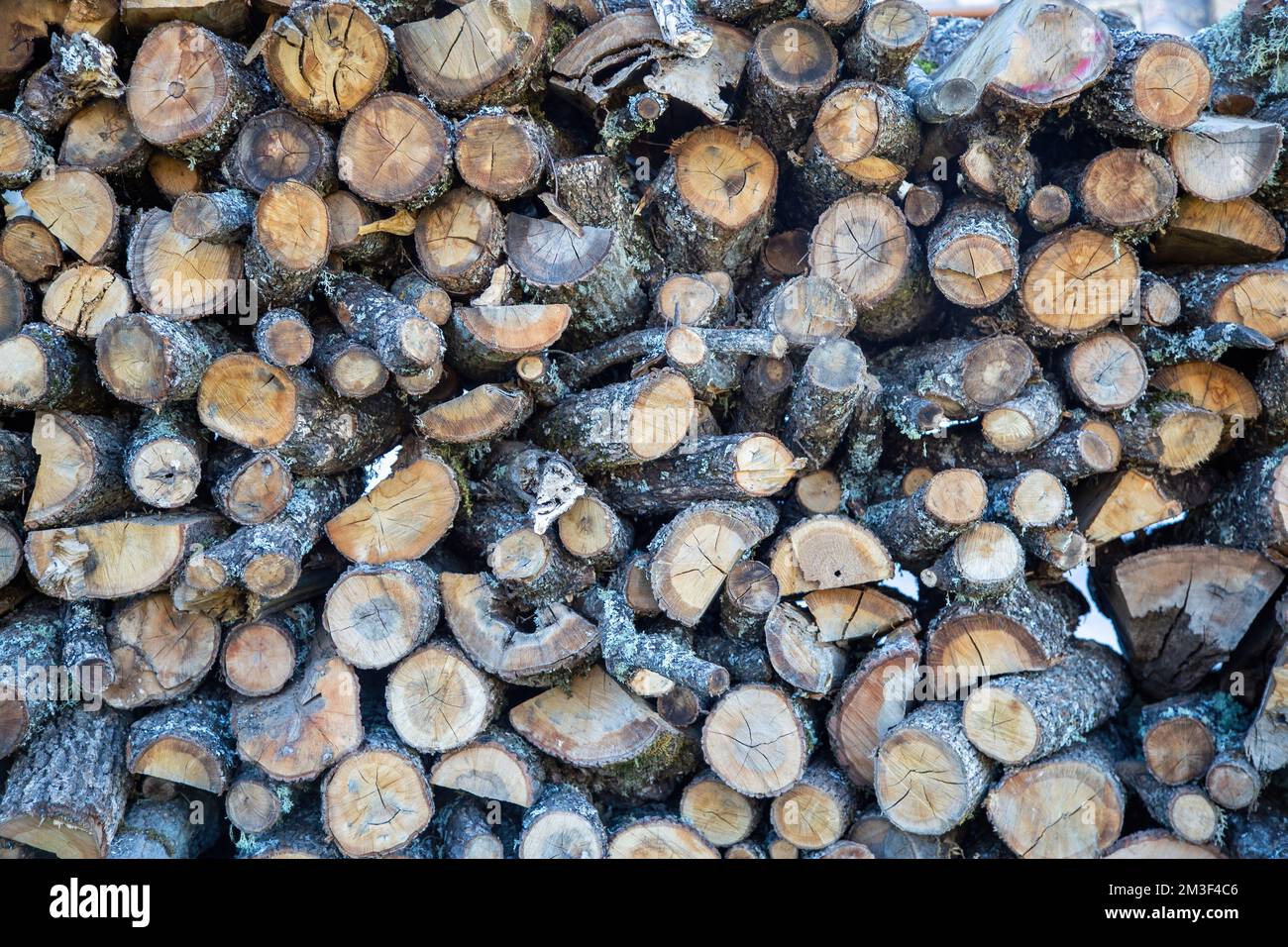 Timber storage background texture. Firewood stock as alternative