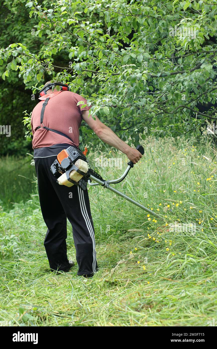 a person mows the grass with a petrol brushcutter in the orchard Stock Photo