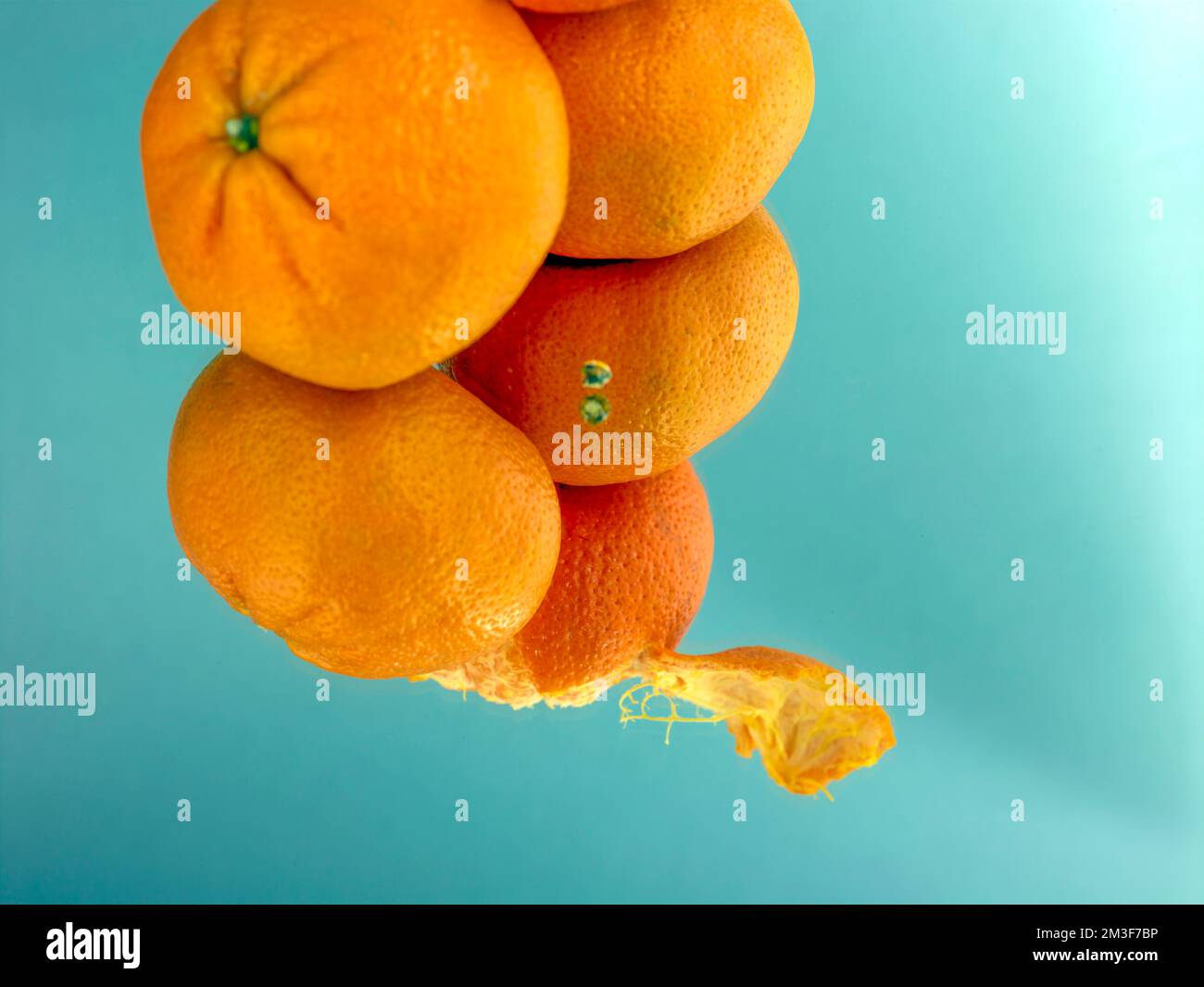Close up food still life of easy peel Tangerines on a reflective