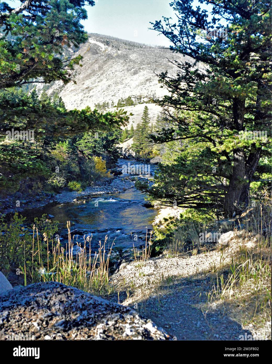 Water Falls at Big Timber Creek Stock Photo Alamy